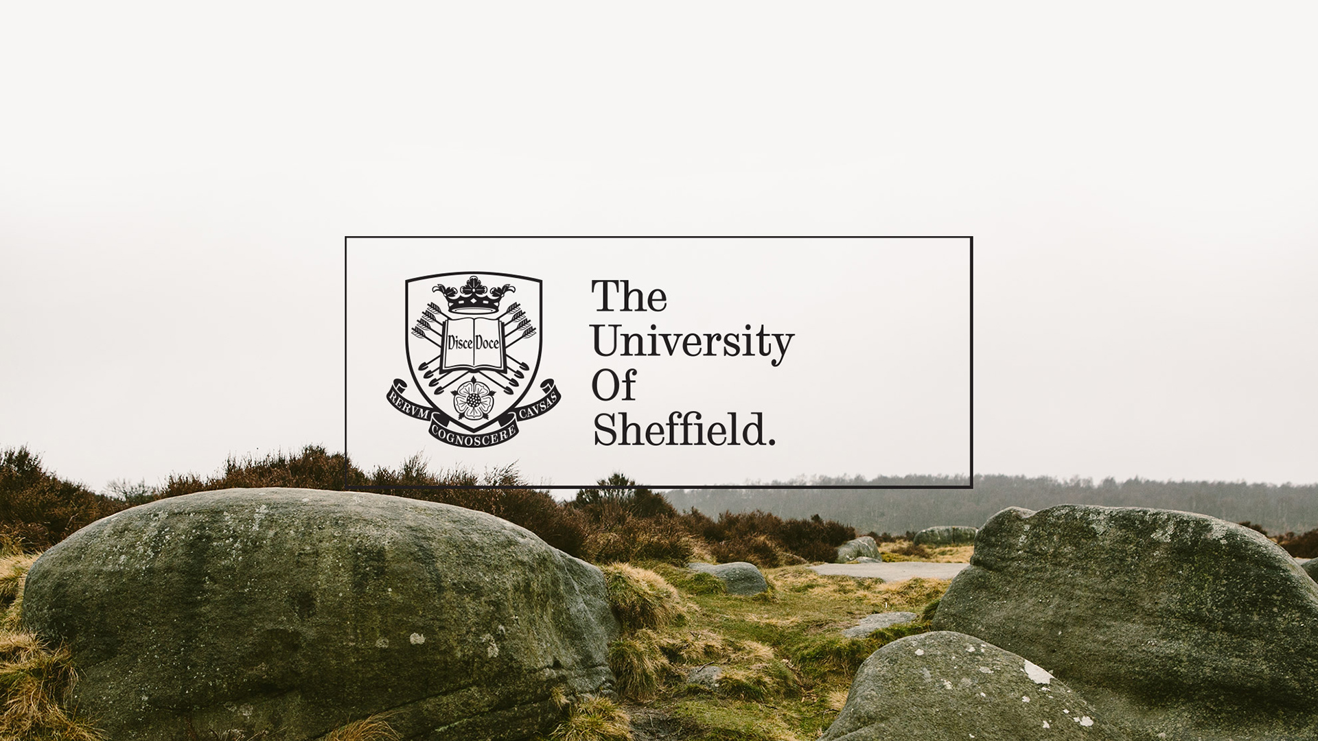 Cover image for The University of Sheffield